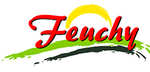 Feuchy